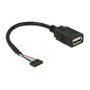 DeLOCK 84831 Cable USB 2.0 de Pfostenbuchse 2,0 mm a USB A Hembra, 0,15 m