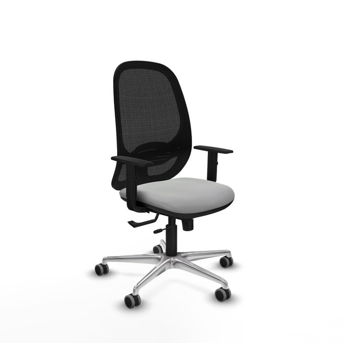 PIQUERAS Y CRESPO Silla de oficina Cilanco con mecanismo Sincro/Traslack, Gris claro y Negro PIQUERAS Y CRESPO Silla de oficina Cilanco con mecanismo Sincro/Traslack, Gris claro y Negro