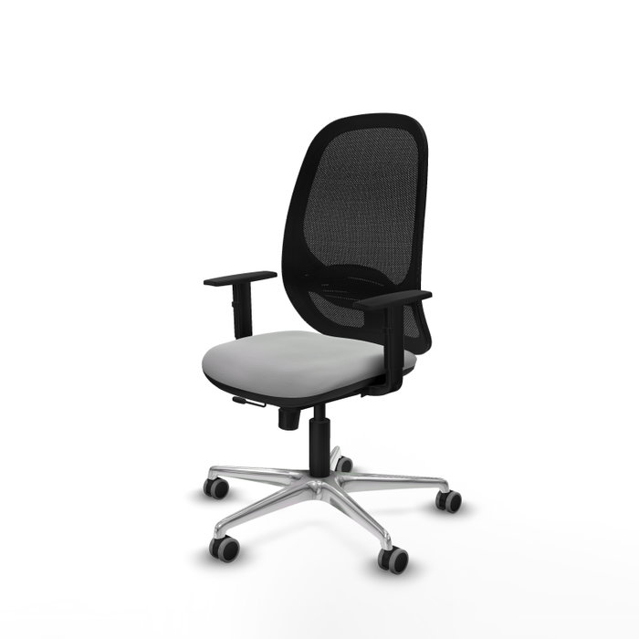 PIQUERAS Y CRESPO Silla de oficina Cilanco con mecanismo Sincro/Traslack, Gris claro y Negro PIQUERAS Y CRESPO Silla de oficina Cilanco con mecanismo Sincro/Traslack, Gris claro y Negro