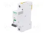 Schneider Electric ACTI9 MCB Interruptor magnetotérmico 20A 1 Polo B