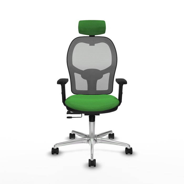 PIQUERAS Y CRESPO Silla de oficina Jorquera con mecanismo Sincro/Traslack, Verde y Gris PIQUERAS Y CRESPO Silla de oficina Jorquera con mecanismo Sincro/Traslack, Verde y Gris