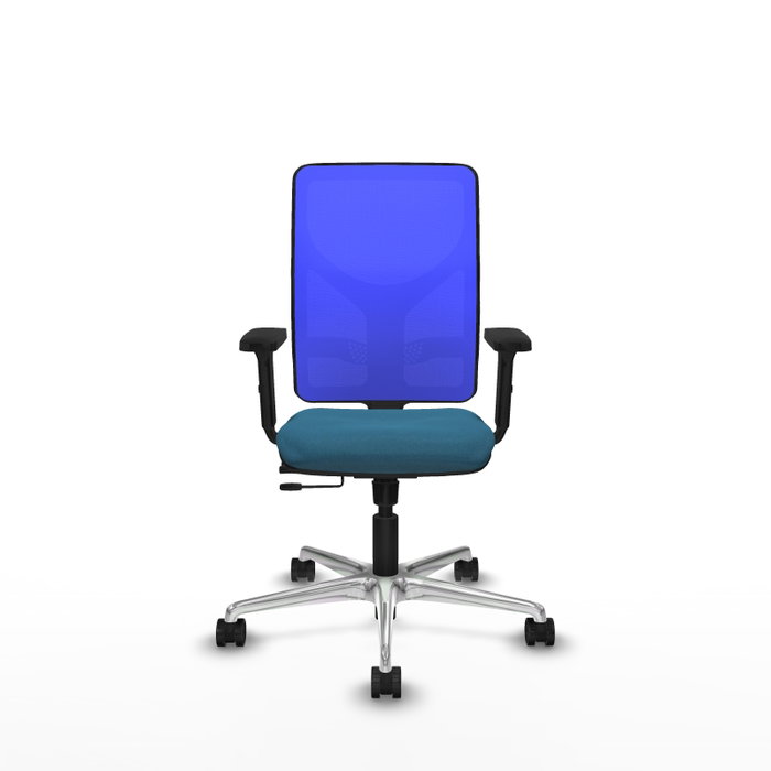 PIQUERAS Y CRESPO Silla de oficina Motilla con mecanismo Sincro/Traslack, Verde petróleo y Azul PIQUERAS Y CRESPO Silla de oficina Motilla con mecanismo Sincro/Traslack, Verde petróleo y Azul