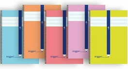 ERIGGAN Pack de 5 Cuadernos de Espiral Folio 80 Hojas Cuadros 5 mm