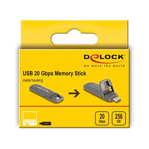 DeLOCK 54012 Memoria USB 256 GB USB-C 20 Gbps, Velocidad Lectura 1980 MB/s, Carcasa Metal Gris