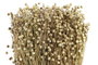 DKD Home Decor Bouquet de Flores Secas Tishi Linaza Natural