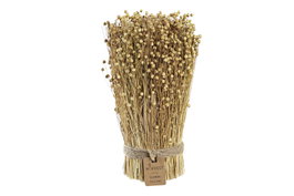 DKD Home Decor Bouquet de Flores Secas Tishi Linaza Natural