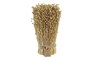 DKD Home Decor Bouquet de Flores Secas Tishi Linaza Natural