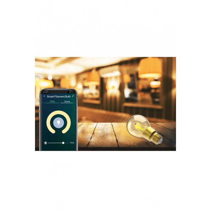 Woox Bombilla Inteligente Retro de Filamento WiFi 6W E27