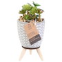 Home Deco Factory Planta Artificial en Maceta de Cemento con Patas de Madera