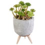 Home Deco Factory Planta Artificial en Maceta de Cemento con Patas de Madera