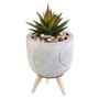 Home Deco Factory Planta Artificial en Maceta de Cemento con Patas de Madera