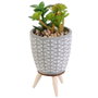 Home Deco Factory Planta Artificial en Maceta de Cemento con Patas de Madera