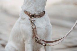 Hunter Collar Inari Alu-Strong M Beige para Cuello 30-45 cm