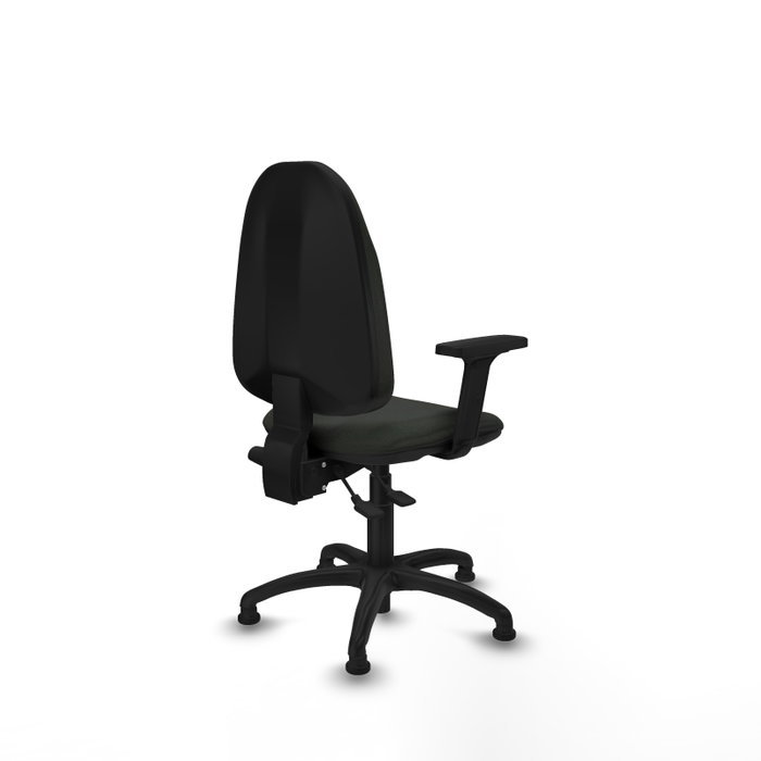 PIQUERAS Y CRESPO Silla de oficina Algarra con mecanismo Asincro y Brazos 2D, Negro PIQUERAS Y CRESPO Silla de oficina Algarra con mecanismo Asincro y Brazos 2D, Negro