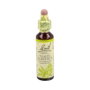 Bach Original White Chestnut (Castaño de Indias) Nº35