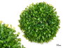 Ibergarden Bola Redonda 17 cm Hojas Verdes Plástico Color Verde (Set de 12)