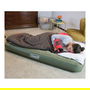 Coleman 2000039166 Maxi Comfort Single Colchón Inflable Individual/Doble para Interior y Exterior - 820x1980x220 mm, Verde