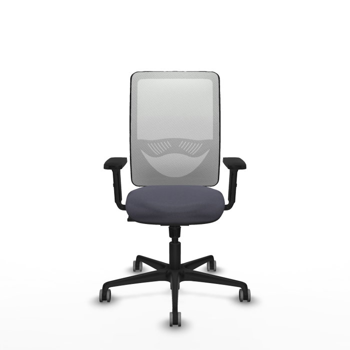 PIQUERAS Y CRESPO Silla de oficina Zulema Gris oscuro y Blanco PIQUERAS Y CRESPO Silla de oficina Zulema Gris oscuro y Blanco