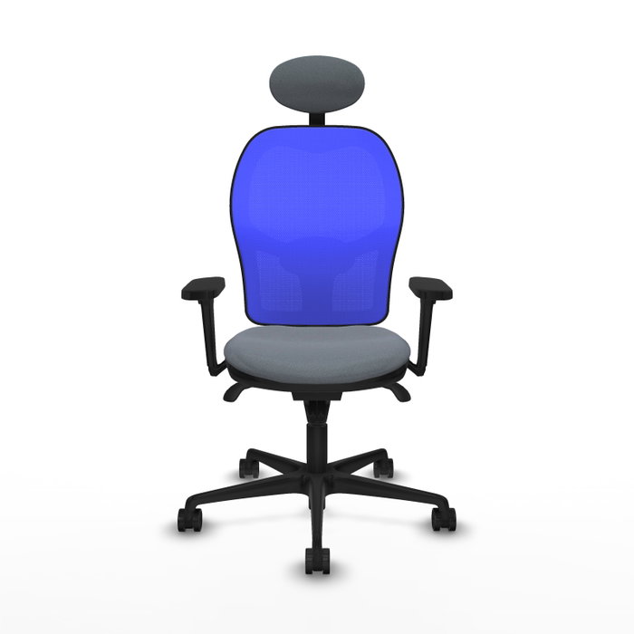 PIQUERAS Y CRESPO Silla de oficina Jorquera con mecanismo Sincro, Tela Gris y Malla Azul PIQUERAS Y CRESPO Silla de oficina Jorquera con mecanismo Sincro, Tela Gris y Malla Azul
