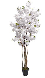 DKD Home Decor Árbol de Almendro Blanco 80x80x200 cm