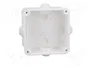 ELEKTRO-PLAST NASIELSK EP-LUX Caja de conexiones IP55 Blanca