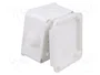 ELEKTRO-PLAST NASIELSK EP-LUX Caja de conexiones IP55 Blanca