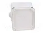 ELEKTRO-PLAST NASIELSK EP-LUX Caja de conexiones IP55 Blanca