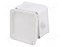 ELEKTRO-PLAST NASIELSK EP-LUX Caja de conexiones IP55 Blanca