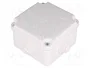ELEKTRO-PLAST NASIELSK EP-LUX Caja de conexiones IP55 Blanca