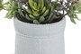 DKD Home Decor Planta Rosa Verde Menta Malva Naranja 10 x 18 x 18 cm (4 Unidades)