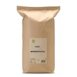 NATURCID Jengibre Raiz 1 Kg.