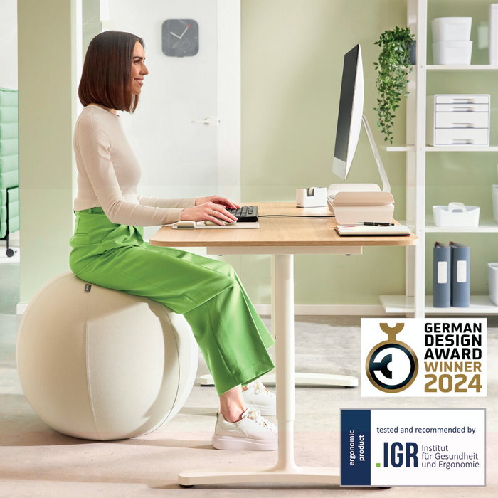Leitz Balón de asiento Active 65 cm Antideslizante Gris