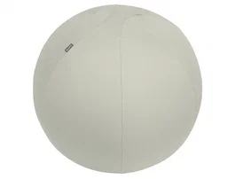 LEITZ Silla de Balón Active Ergo Gris 65 cm Antideslizante
