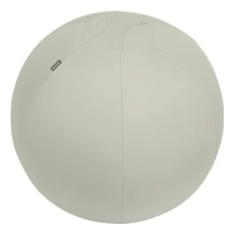 Leitz Balón de asiento Active 65 cm Antideslizante Gris