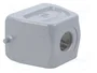 WIELAND Carcasa para conectores HDC tamaño 6 recto M25