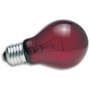 ZooMed Bombilla Nocturna Roja 60W para Observación de Animales