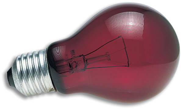 ZooMed Nightlight Red Luz Nocturna 60WT ZooMed Nightlight Red Luz Nocturna 60WT