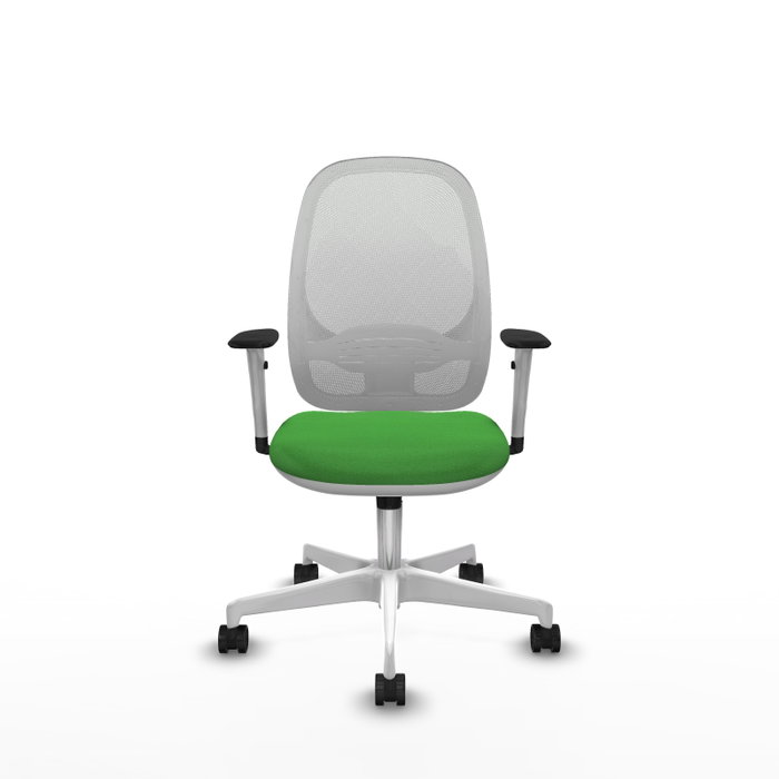 PIQUERAS Y CRESPO Silla de oficina Cilanco con mecanismo Sincro, Verde y Blanco
