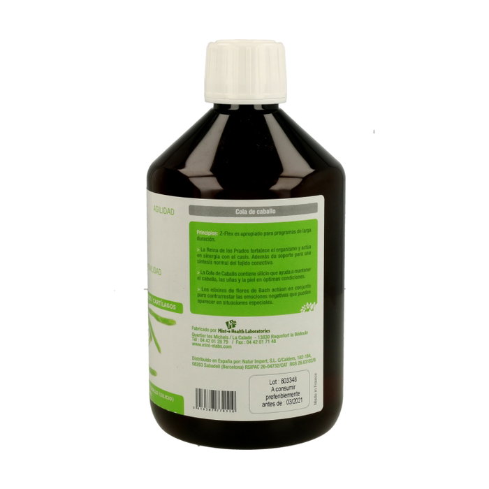 Mint-E Health Laboratories Z-Flex 500 ml