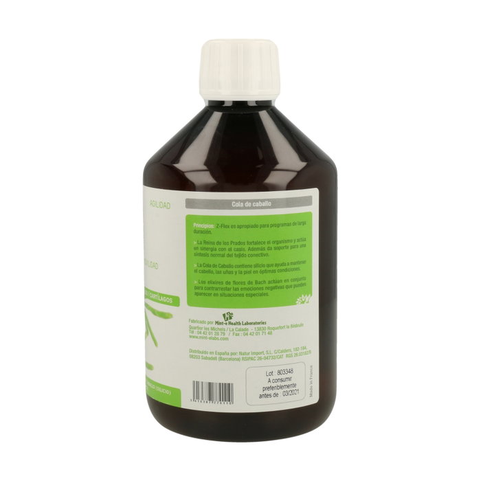 Mint-E Health Laboratories Z-Flex 500 ml