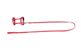 Freedog Kit Arnés + Correa Rojo