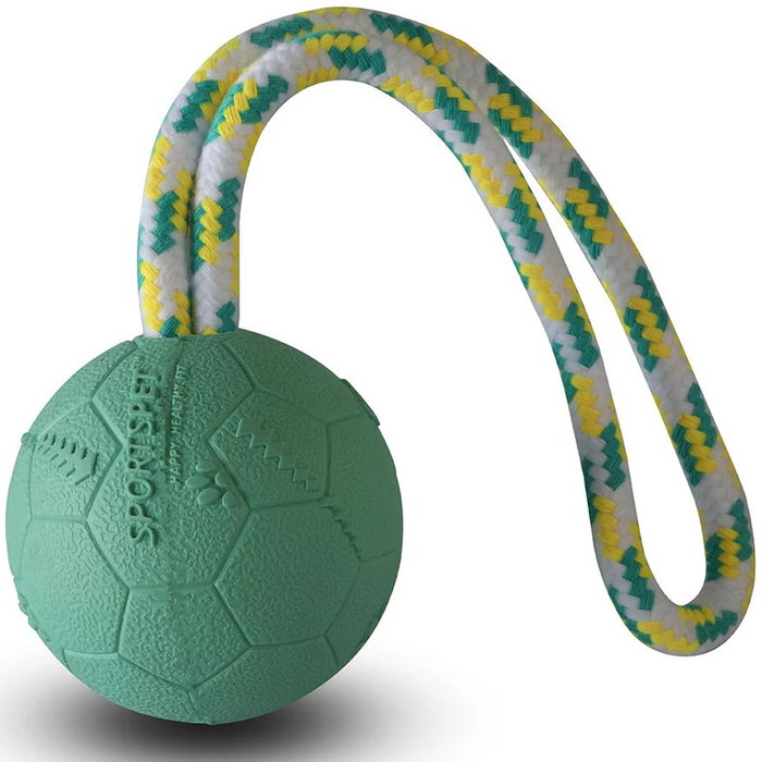 SportsPet Pelota de Fútbol Rebote con Cuerda Turquesa M SportsPet Pelota de Fútbol Rebote con Cuerda Turquesa M