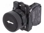 SCHNEIDER ELECTRIC Interruptor de presión Harmony XB5 22mm NA negro