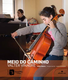 Meio do caminho, Valter Vinagre - ALTHUM.COM