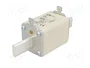 ETI POLAM Fusible NH1 de cartucho de cerámica industrial 63A 500VAC gF