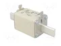 ETI POLAM Fusible NH1 de cartucho de cerámica industrial 63A 500VAC gF