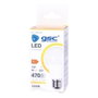 GSC Evolution Bombilla LED estándar A55 5W E27 4200K