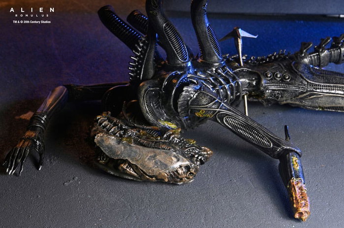 Alien: Romulus Figura Deluxe Suspended Lab Xenomorph XX121 18 cm Alien: Romulus Figura Deluxe Suspended Lab Xenomorph XX121 18 cm