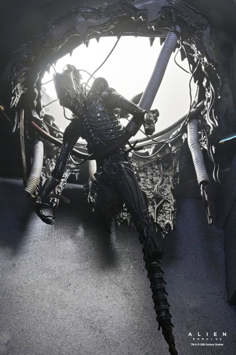 Alien: Romulus Figura Deluxe Suspended Lab Xenomorph XX121 18 cm Alien: Romulus Figura Deluxe Suspended Lab Xenomorph XX121 18 cm