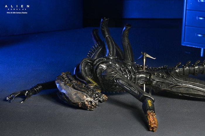 Alien: Romulus Figura Deluxe Suspended Lab Xenomorph XX121 18 cm Alien: Romulus Figura Deluxe Suspended Lab Xenomorph XX121 18 cm
